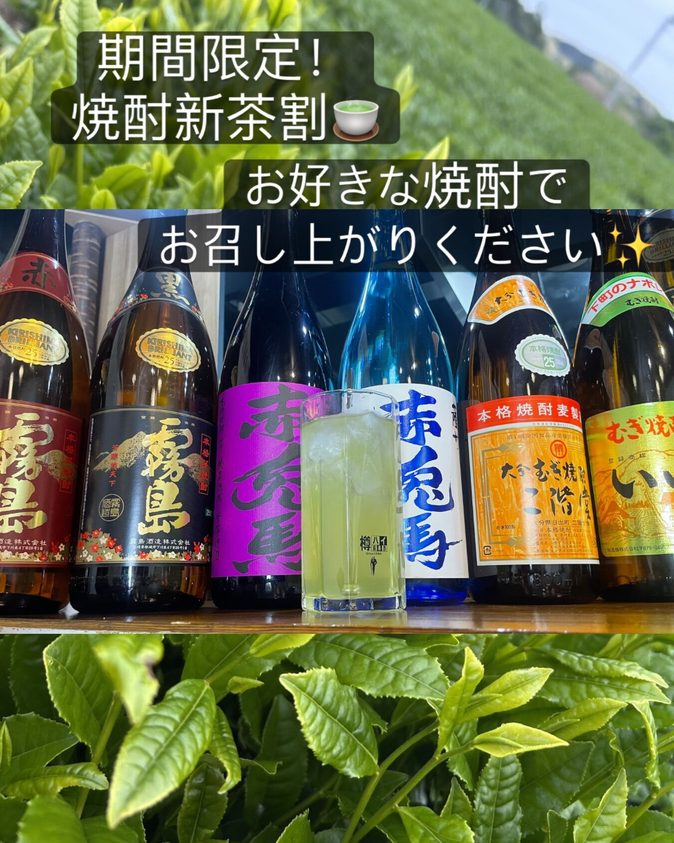 【今だけ！期間限定メニュー🍵】