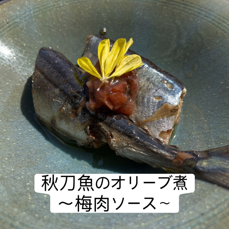画像4646：【本日からのおすすめメニュー✨】