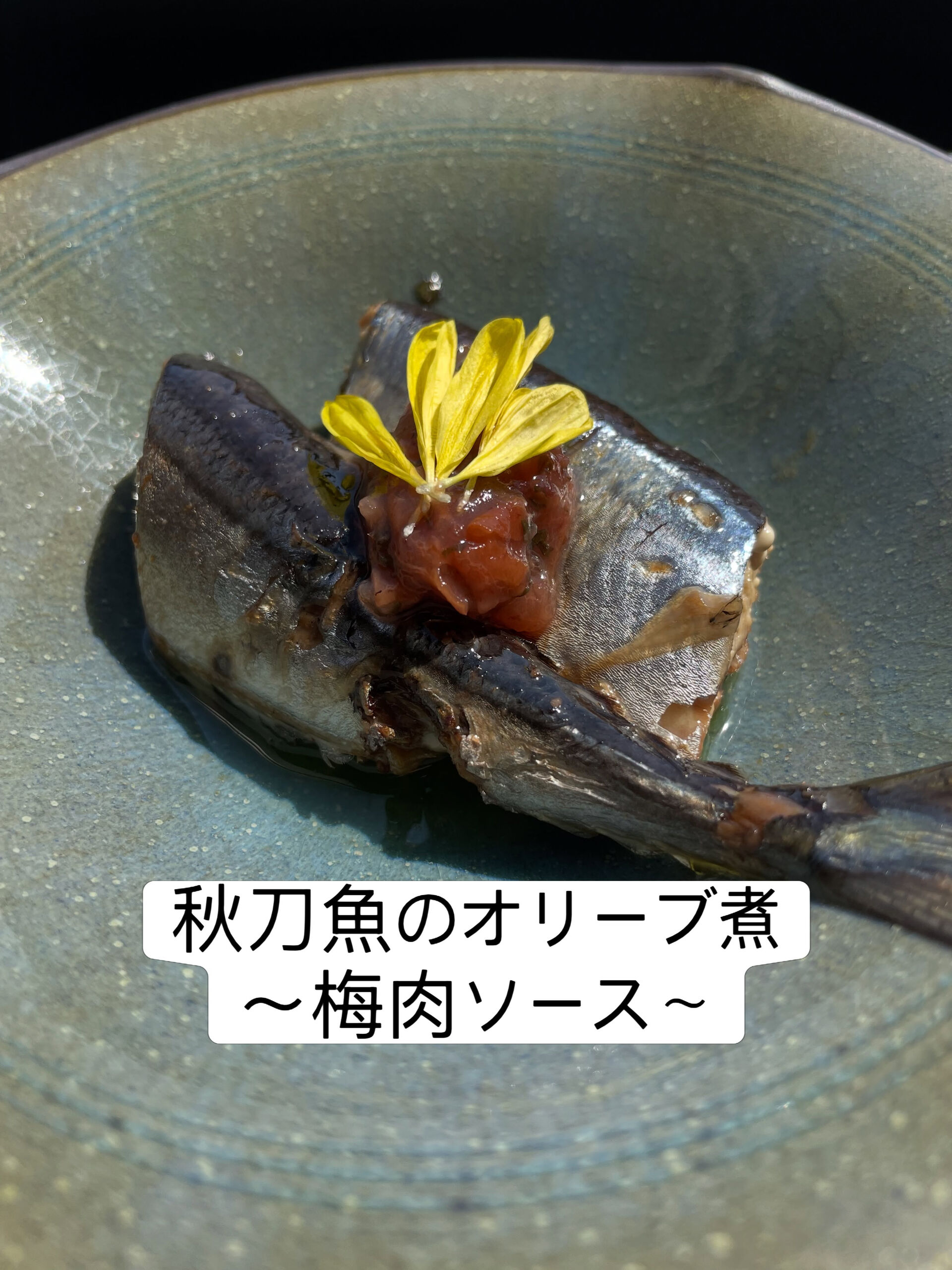 【本日からのおすすめメニュー✨】