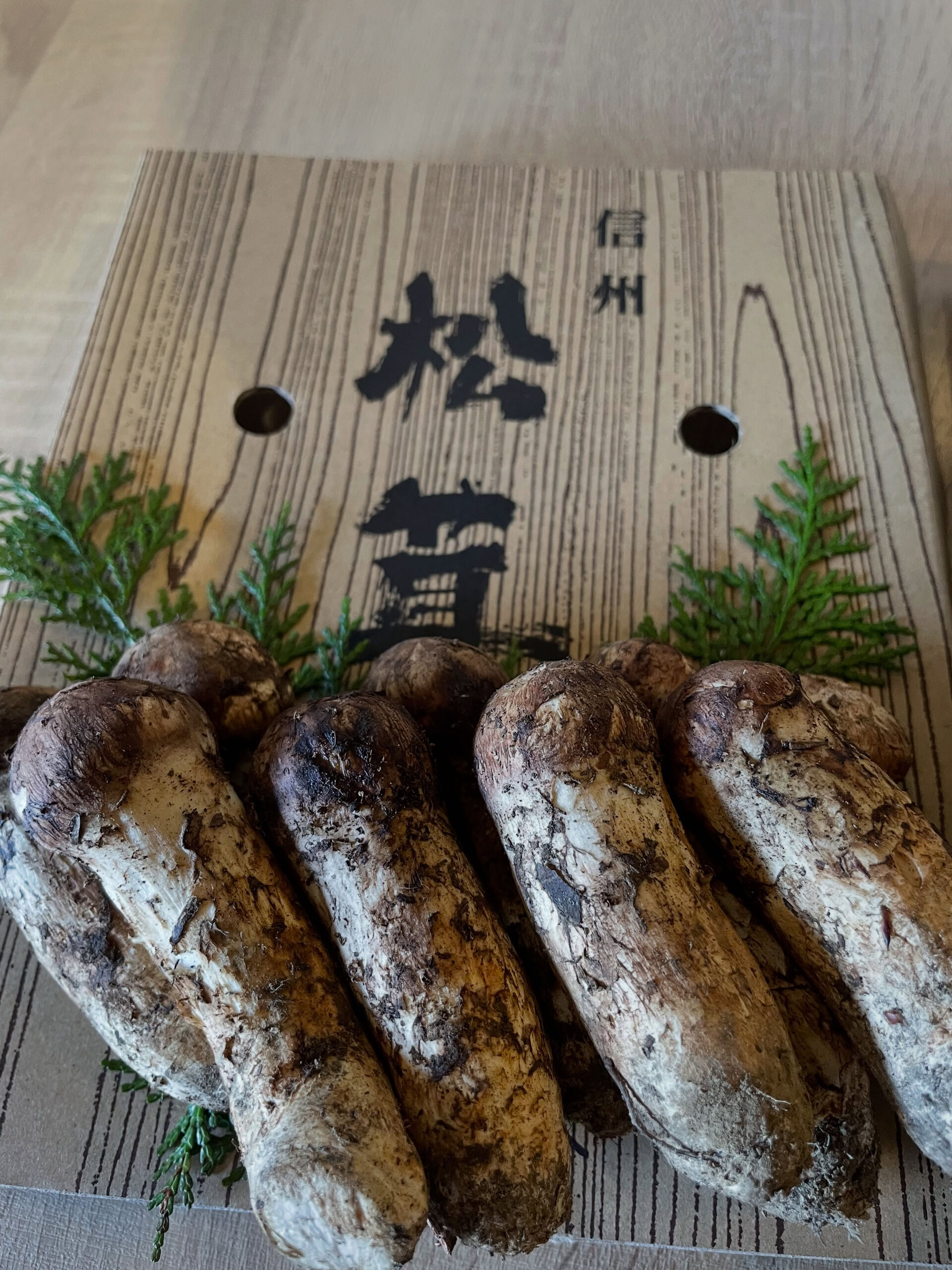 【本日の仕入れ✨】